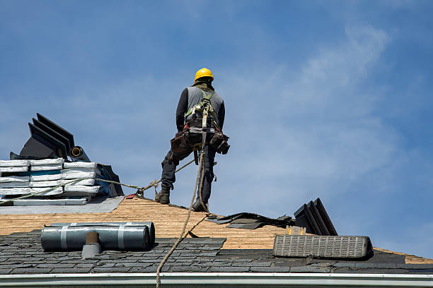 Professional Gutter Installation technician working in Jonesville, LA